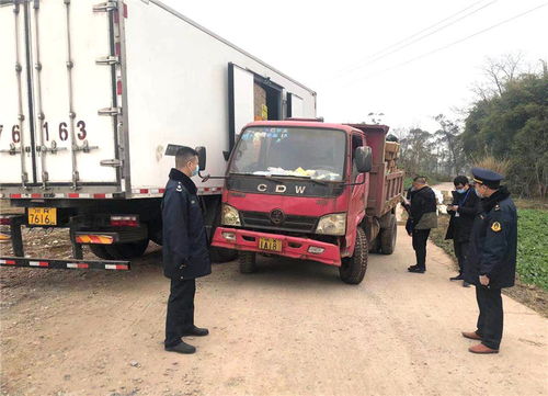 廣安岳池縣開展“冬安行動”，為春運貨物道路運輸保駕護航